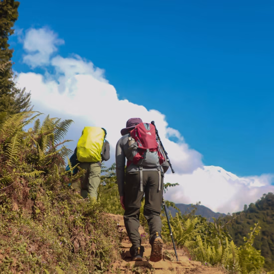 pexels-kumardulal-14663618